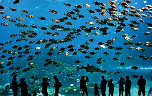 Guangzhou Ocean World : Salah satu destinasi wisata yang populer di Guangzhou