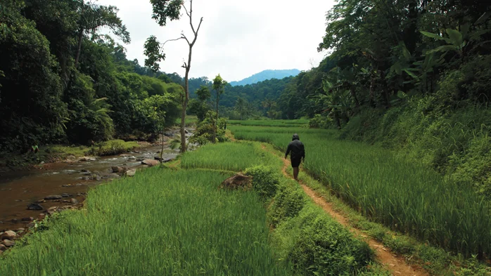 sungai menuju curug rahong